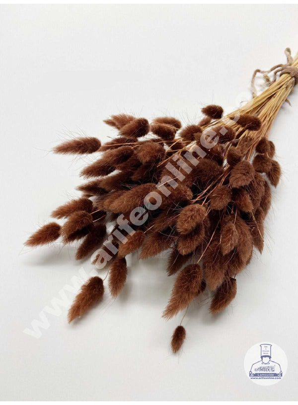 CAKE DECOR™ Dark Brown Color Natural Bunny Tails For Cake Decoration Bouquet Wedding Party Centerpieces Decorative – Dark Brown (50 pcs pack)