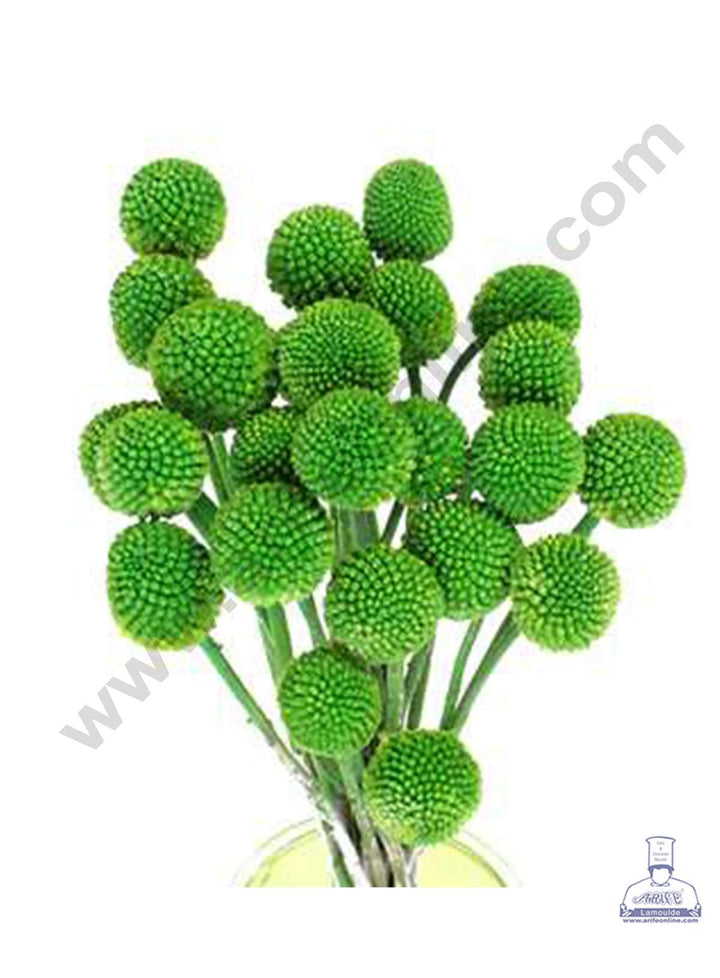CAKE DECOR™ Green Color Natural Craspedia Balls Billy Buttons For Cake Decoration Bouquet Wedding Party Centerpieces Decorative – Green (5 pcs pack)