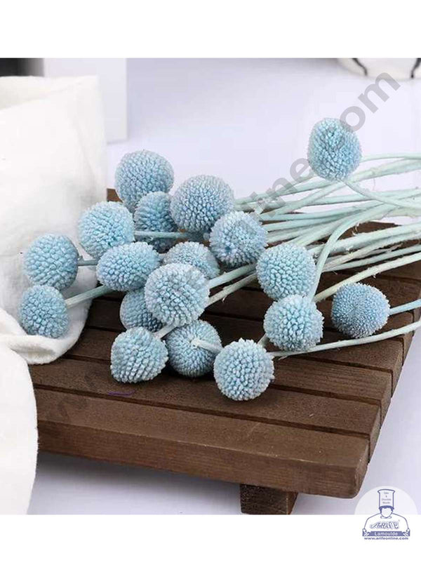 CAKE DECOR™ Light Blue Color Natural Craspedia Balls Billy Buttons For Cake Decoration Bouquet Wedding Party Centerpieces Decorative – Light Blue (5 pcs pack)