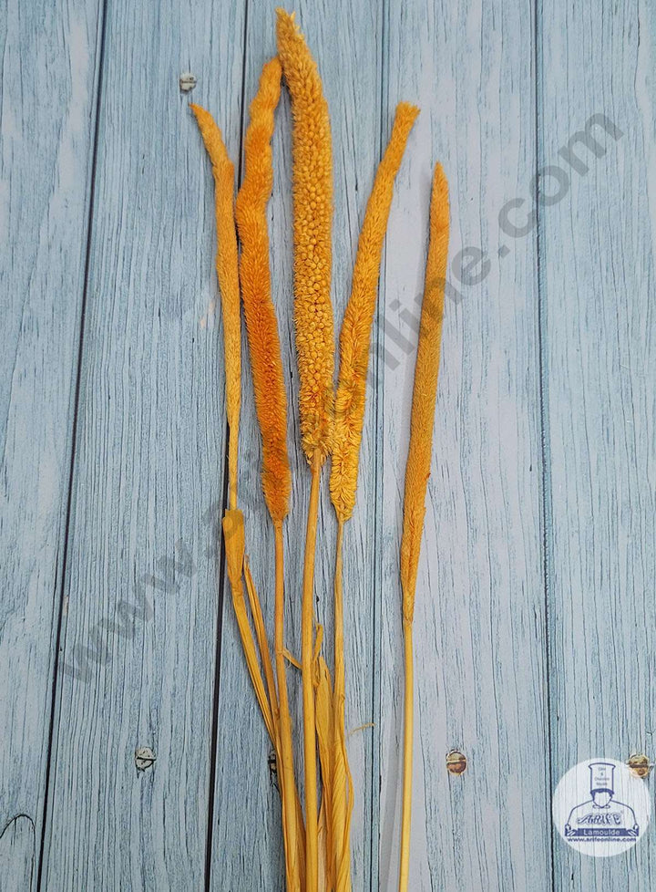 CAKE DECOR™ Orange Color Eternelle Hypericum With Dried Millets For Cake Decoration Bouquet Wedding Party Centerpieces Decorative – Orange (5 Stick pack)