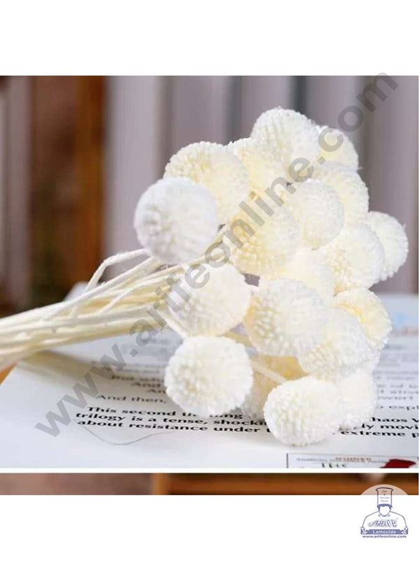 CAKE DECOR™ White Color Natural Craspedia Balls Billy Buttons For Cake Decoration Bouquet Wedding Party Centerpieces Decorative – White (5 pcs pack)