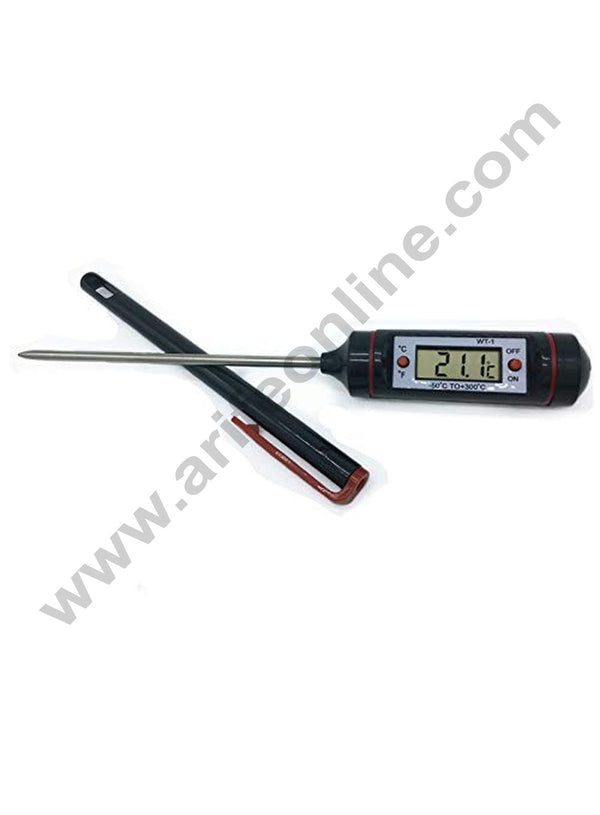 WT-1 THERMOMETER