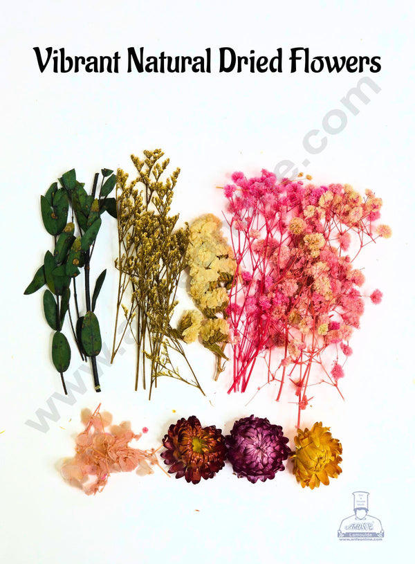 Vibrant Natural Dried Flowers | Preserved Flowers (Pack of 1) - Assorted Color -  CAKE DECOR™