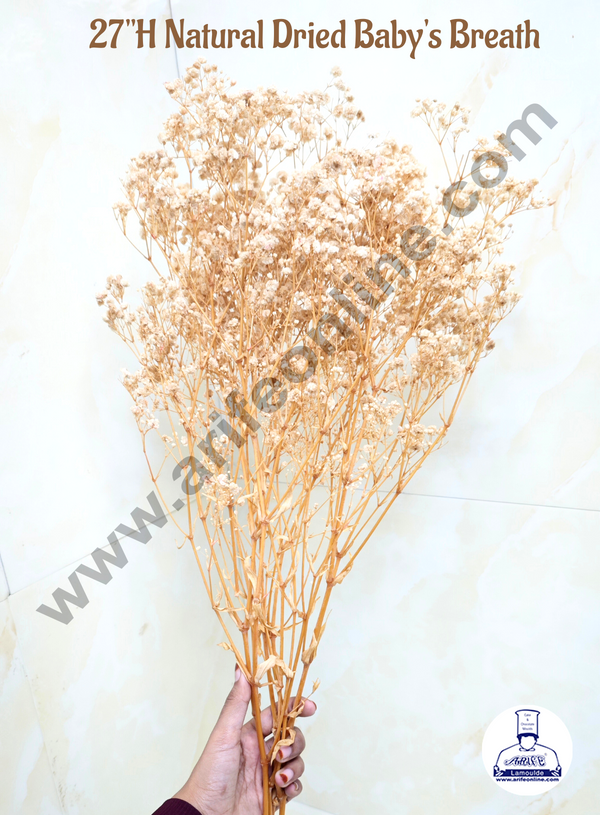 CAKE DECOR™ 1 Bunch Dried Babys Breath Flower-17 Dried Flower Bouquet,100% Natural Gypsophila Branches for Vase Filler,Wedding,Table Centerpiece,Home Decor,DIY Wreath Floral,Crafts, Cake Decoration (Ivory)