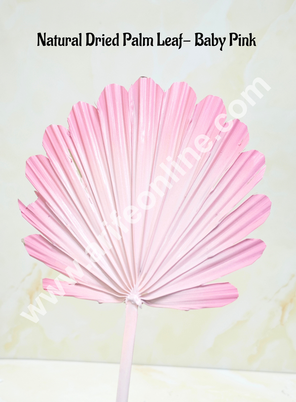 Cake Decor Natural Palm Leaf For Cake Decoration - Baby Pink  (1 pc pack)