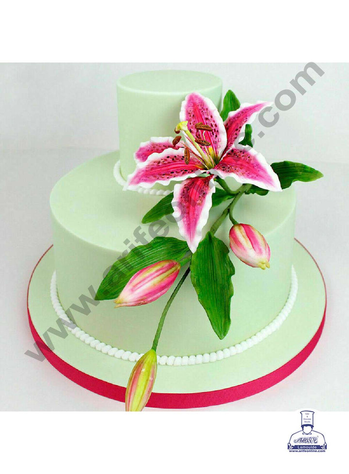 lily flower cake decorations CAKE DECOR™ 2 Pcs Set Lily Flower Petal & Leaf Veiner Silicone Fondant – Arife Online Store