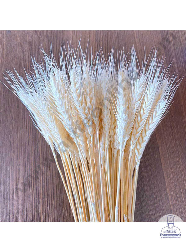 CAKE DECOR™ Natural White Color Dried Wheat Grass Wheat Stalks For Cake Decoration Bouquet Wedding Party Centerpieces Decorative - White (10 pcs pack)