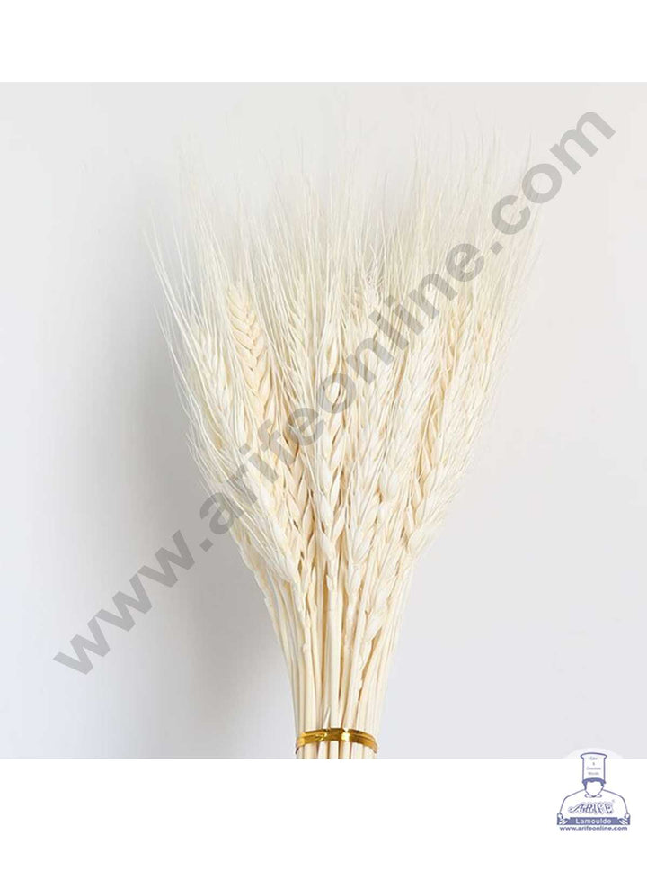 CAKE DECOR™ Natural White Color Dried Wheat Grass Wheat Stalks For Cake Decoration Bouquet Wedding Party Centerpieces Decorative - White (10 pcs pack)