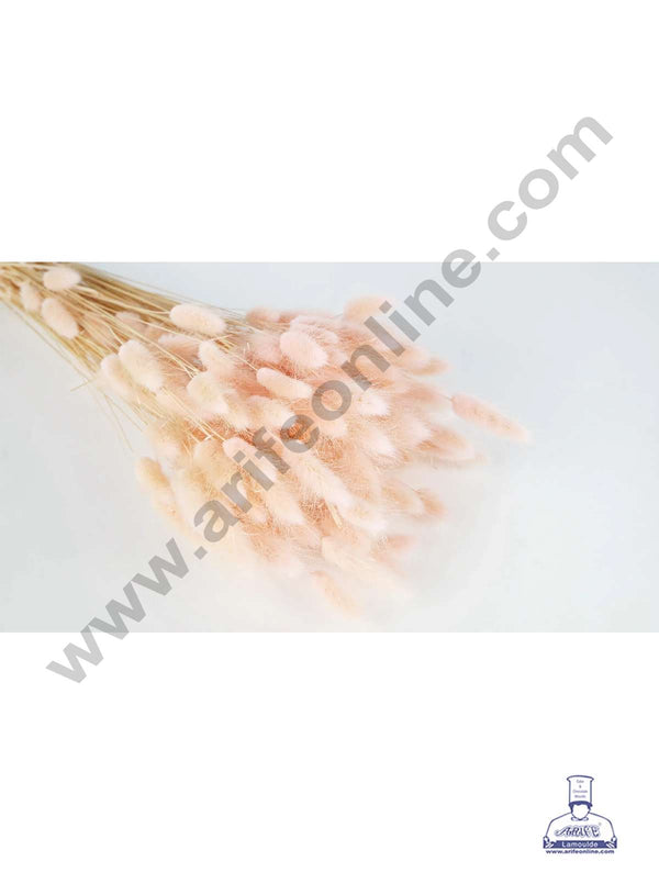 CAKE DECOR™ Light Peach Color Natural Bunny Tails For Cake Decoration Bouquet Wedding Party Centerpieces Decorative – Light Peach (50 pcs pack)