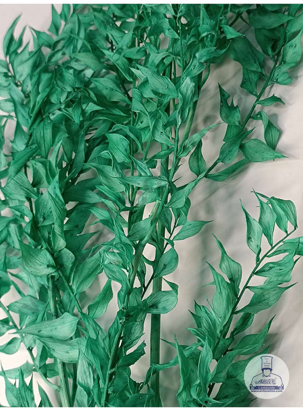CAKE DECOR™ Green Color Natural Dried Ruscus Leaves For Cake Decoration Bouquet Wedding Party Centerpieces Decorative – Green (2 Stick)