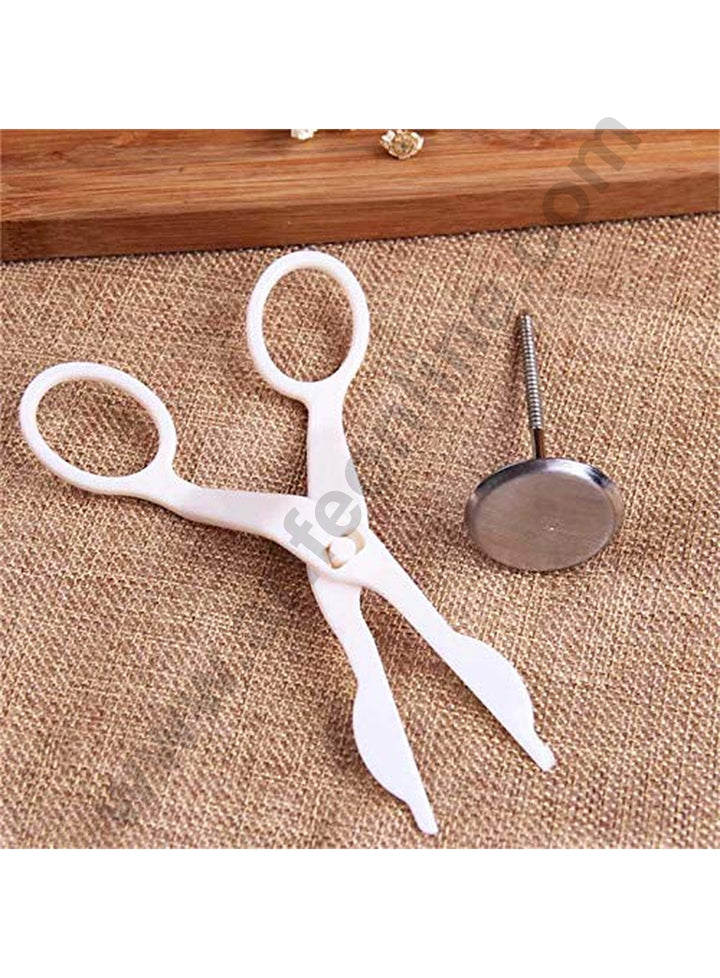 Cake Decor Stainless Steel Rose Nail and Flower Lifter Plastic Cake Scissors for Cream Flower Transfer