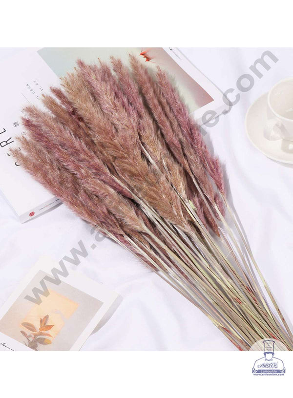 CAKE DECOR™ Brown Color Natural Dried Reed Plumes For Cake Decoration Bouquet Wedding Party Centerpieces Decorative – Brown (1 Stick)