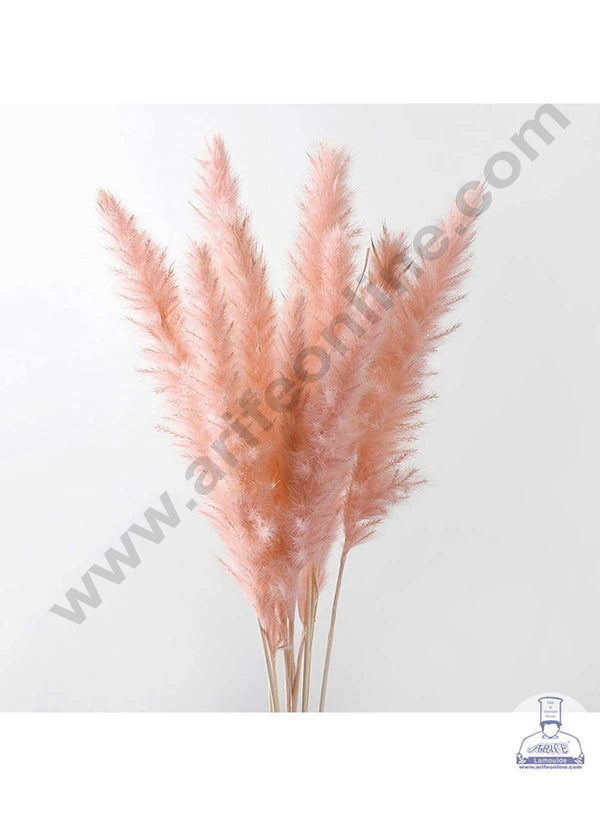 CAKE DECOR™ Light Peach Color Natural Dried Reed Plumes For Cake Decoration Bouquet Wedding Party Centerpieces Decorative – Light Peach (1 Stick)