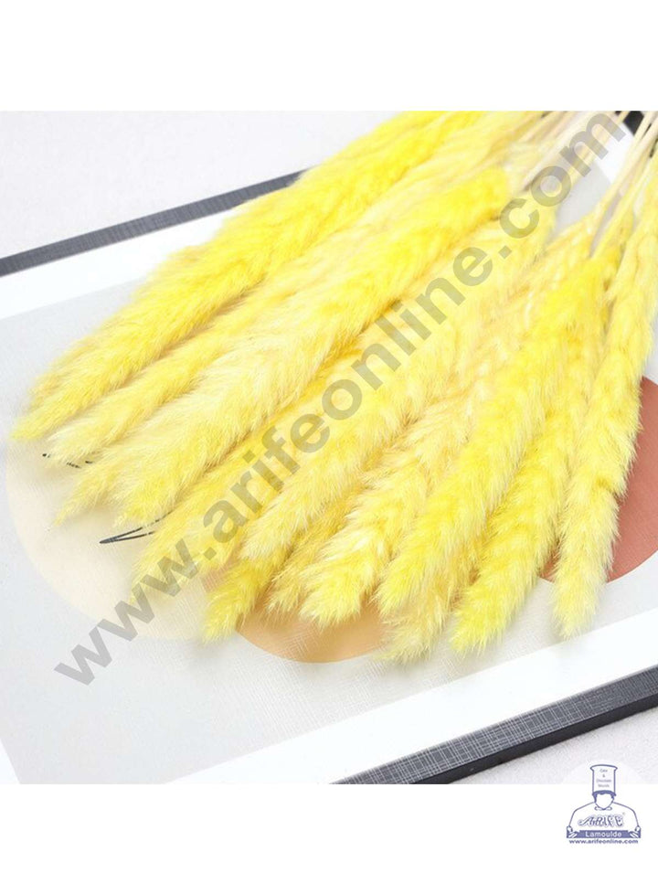 CAKE DECOR™ Light Yellow Color Natural Dried Reed Plumes For Cake Decoration Bouquet Wedding Party Centerpieces Decorative – Light Yellow (1 Stick)