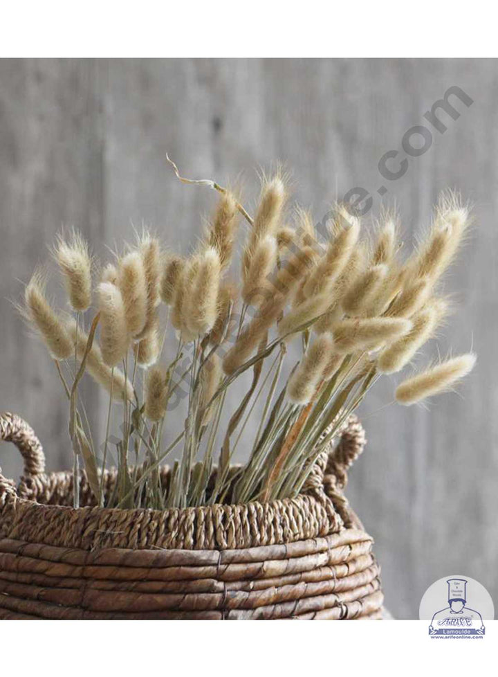 CAKE DECOR™ Natural Brown Color Natural Bunny Tail For Cake Decoration Bouquet Wedding Party Centerpieces Decorative – Natural Brown ( 50 pcs pack)
