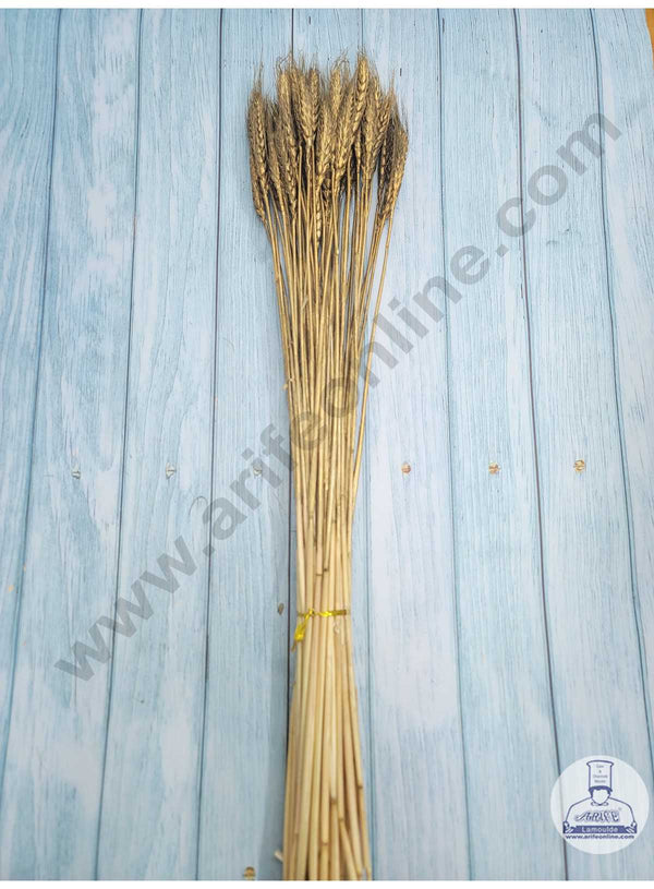 CAKE DECOR™ Natural Golden Color Dried Wheat Grass Wheat Stalks For Cake Decoration Bouquet Wedding Party Centerpieces Decorative - Golden (10 pcs pack)