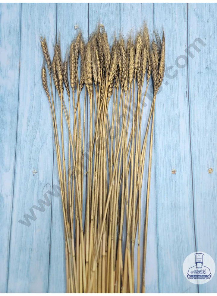 CAKE DECOR™ Natural Golden Color Dried Wheat Grass Wheat Stalks For Cake Decoration Bouquet Wedding Party Centerpieces Decorative - Golden (10 pcs pack)