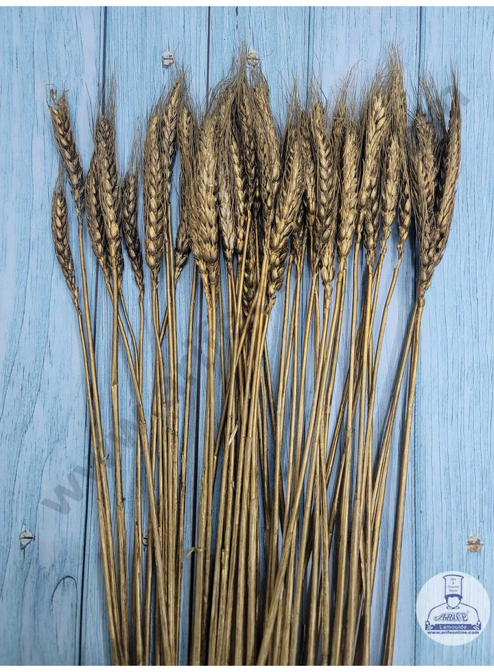 CAKE DECOR™ Natural Golden Color Dried Wheat Grass Wheat Stalks For Cake Decoration Bouquet Wedding Party Centerpieces Decorative - Golden (10 pcs pack)