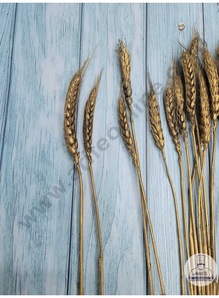 CAKE DECOR™ Natural Golden Color Dried Wheat Grass Wheat Stalks For Cake Decoration Bouquet Wedding Party Centerpieces Decorative - Golden (10 pcs pack)
