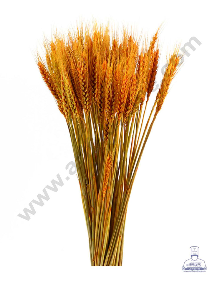 CAKE DECOR™ Natural Orange Color Dried Wheat Grass Wheat Stalks For Cake Decoration Bouquet Wedding Party Centerpieces Decorative - Orange (10 pcs pack)