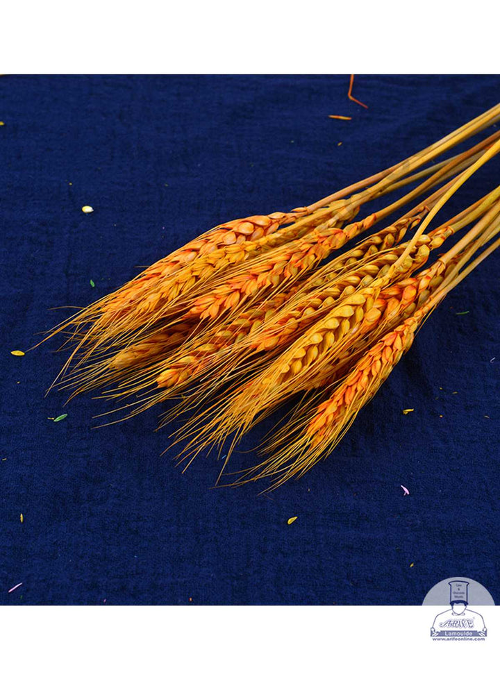 CAKE DECOR™ Natural Orange Color Dried Wheat Grass Wheat Stalks For Cake Decoration Bouquet Wedding Party Centerpieces Decorative - Orange (10 pcs pack)