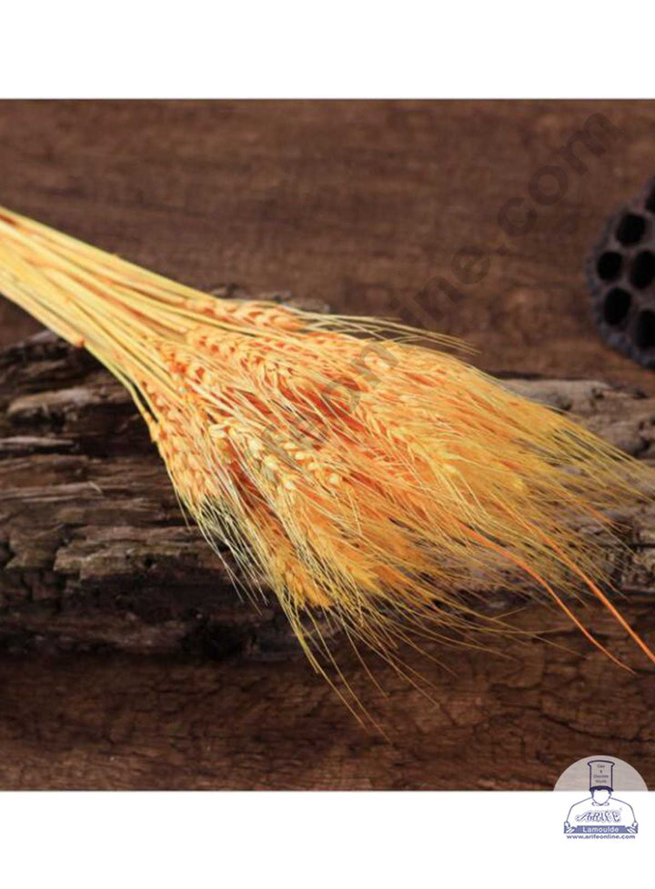CAKE DECOR™ Natural Orange Color Dried Wheat Grass Wheat Stalks For Cake Decoration Bouquet Wedding Party Centerpieces Decorative - Orange (10 pcs pack)