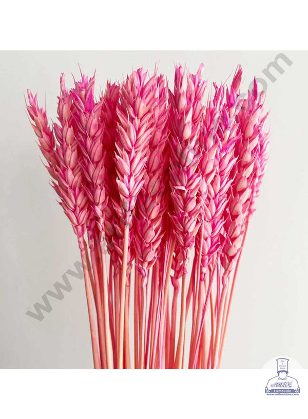 CAKE DECOR™ Natural Pink Color Dried Wheat Grass Wheat Stalks For Cake Decoration Bouquet Wedding Party Centerpieces Decorative - Pink (10 pcs pack)