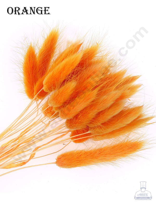 CAKE DECOR™ Orange Color Natural Bunny Tail For Cake Decoration Bouquet Wedding Party Centerpieces Decorative – Orange (5 pcs pack)