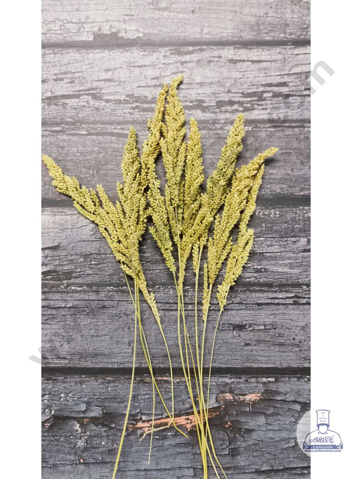 CAKE DECOR™ Small Natural Dried Shyama Grass For Cake Decoration ( 10 Stick Pack )