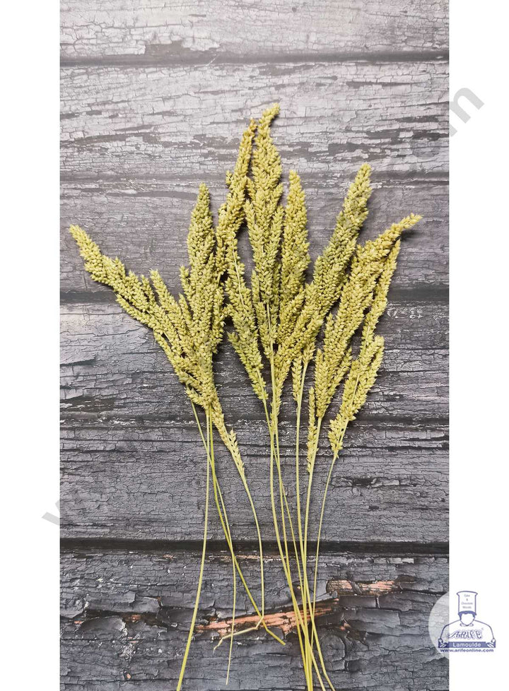CAKE DECOR™ Small Natural Dried Shyama Grass For Cake Decoration ( 10 Stick Pack )