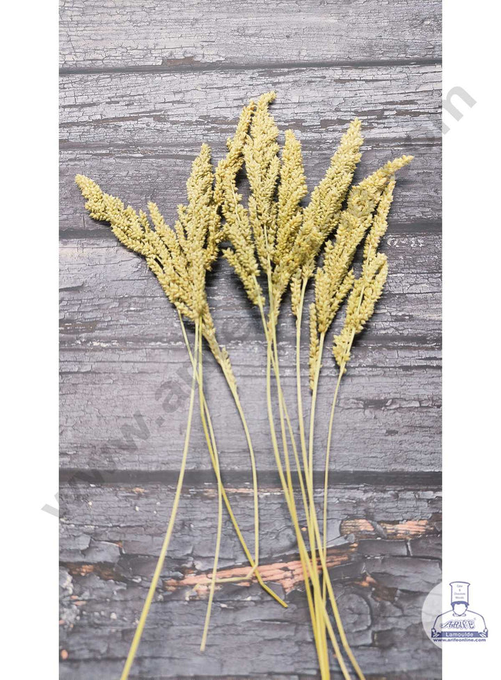 CAKE DECOR™ Small Natural Dried Shyama Grass For Cake Decoration ( 10 Stick Pack )