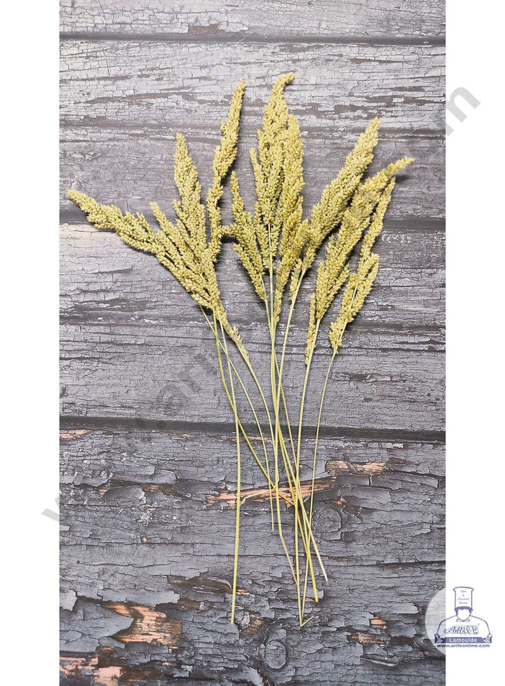 CAKE DECOR™ Small Natural Dried Shyama Grass For Cake Decoration ( 10 Stick Pack )