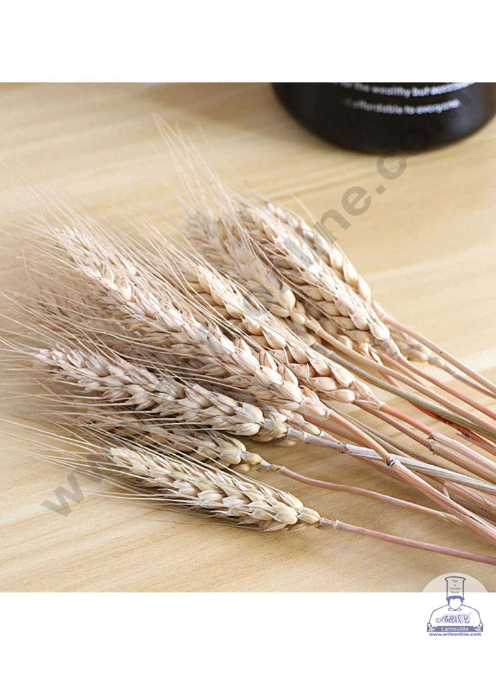 Cake Decor Natural Dried Wheat Grass Wheat Stalks For Cake Decoration Bouquet Wedding Party Centerpieces Decorative (10 pcs pack)