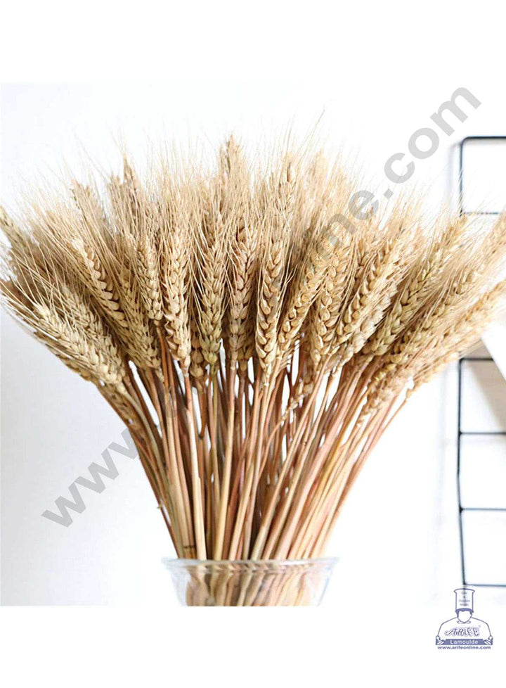 Cake Decor Natural Dried Wheat Grass Wheat Stalks For Cake Decoration Bouquet Wedding Party Centerpieces Decorative (10 pcs pack)