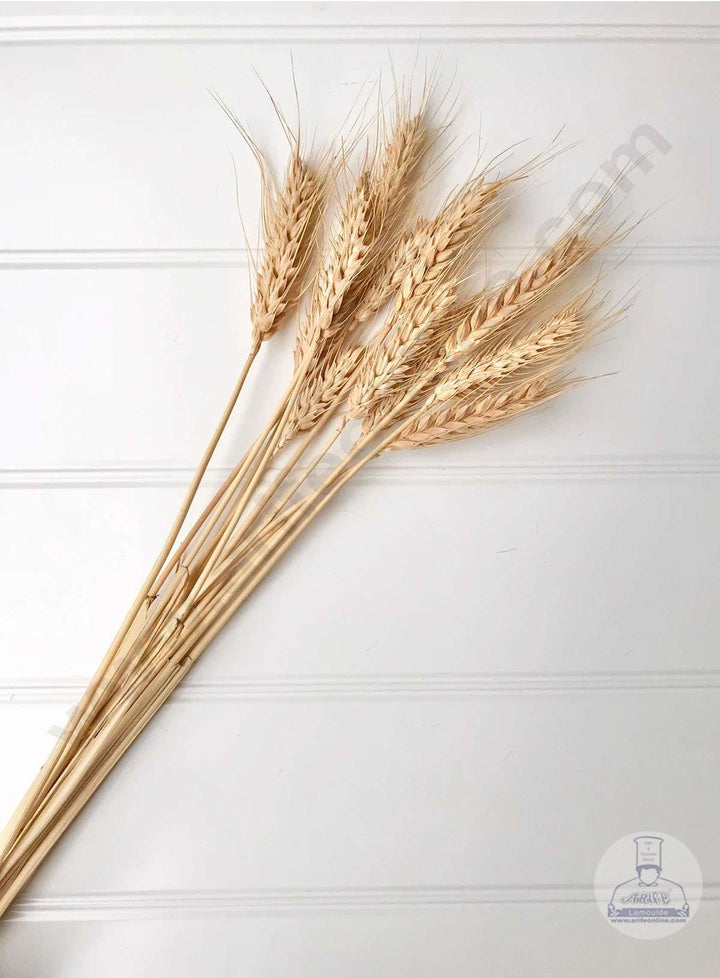 Cake Decor Natural Dried Wheat Stalks For Cake Decoration Bouquet Wedding Party Centerpieces Decorative (10 pcs pack)