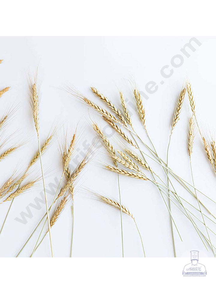 Cake Decor Natural Dried Wheat Stalks For Cake Decoration Bouquet Wedding Party Centerpieces Decorative (10 pcs pack)