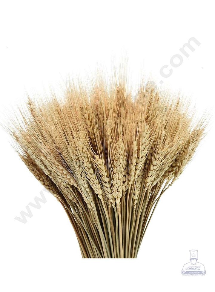 Cake Decor Natural Dried Wheat Stalks For Cake Decoration Bouquet Wedding Party Centerpieces Decorative (10 pcs pack)