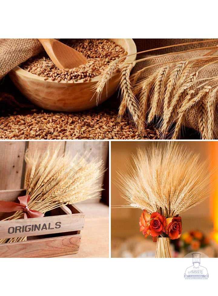 Cake Decor Natural Dried Wheat Stalks For Cake Decoration Bouquet Wedding Party Centerpieces Decorative (10 pcs pack)
