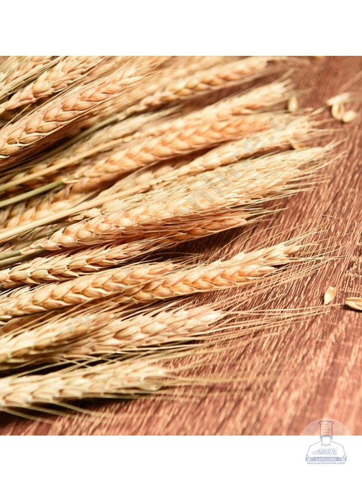Cake Decor Natural Dried Wheat Stalks For Cake Decoration Bouquet Wedding Party Centerpieces Decorative (10 pcs pack)