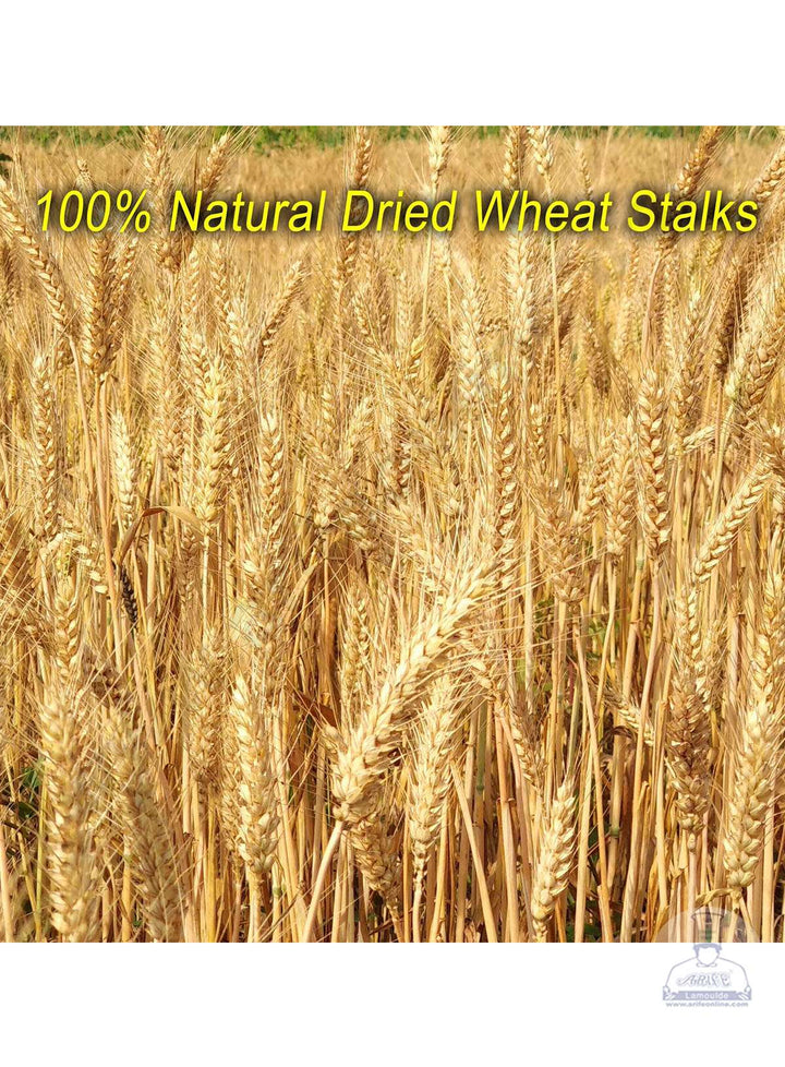 Cake Decor Natural Dried Wheat Stalks For Cake Decoration Bouquet Wedding Party Centerpieces Decorative (10 pcs pack)